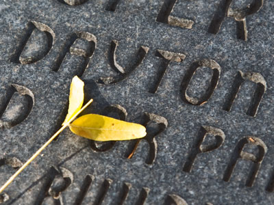 This is where you can find me.