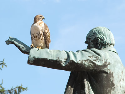 November began with an 80-degree day and one of my best photos ever.  Somewhere in my youth or childhood, I must have done something good.