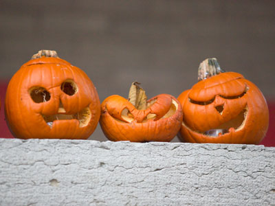 The middle child is always the strange one.