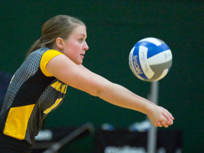 It`s very hard to get a photo like this.