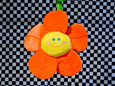 A visual aid for an upcoming photography workshop.