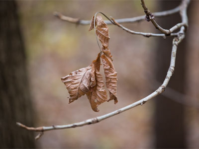 This is what there was to take pictures of -- so I did.