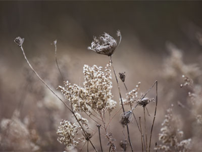 There`s lots more of this ahead in the next few months.