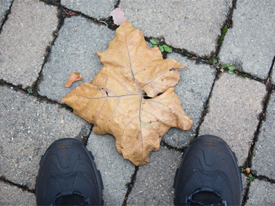 September 22 was a non-event.  Fall fell today.