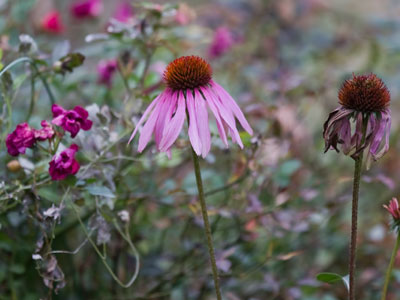 What is, what was, and what will be again.