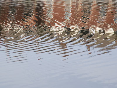 There are waves all around us, but most are invisible.