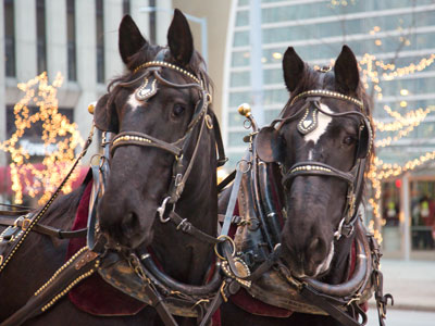 Getting around downtown Dayton in style.