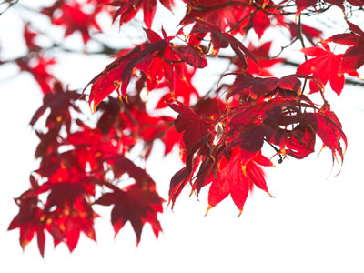 The sun shouldn`t be this low at 2:49pm.