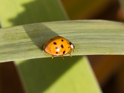 I was surprised to see anything still alive on the ground.