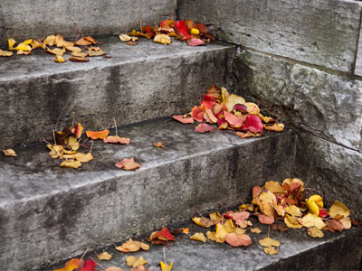 Autumn is the first step toward winter.