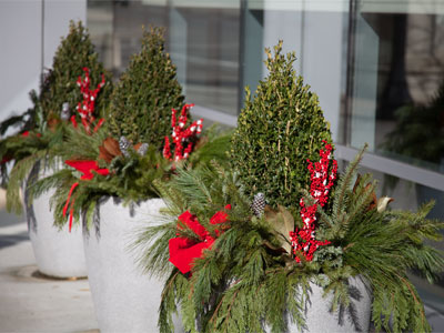 It`s Christmastime in the city. RAY EVANS