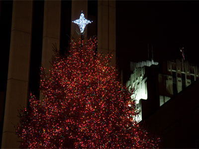 As long as I`m walking back and forth to work, I might as well take pictures along the way.