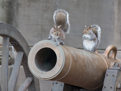 If the animals ever rise up against us, we`re in trouble.