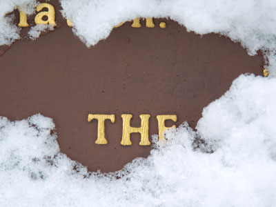 Come back in the spring and read the rest.