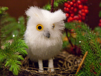 Only a skilled photographer can get bird photos in this weather.