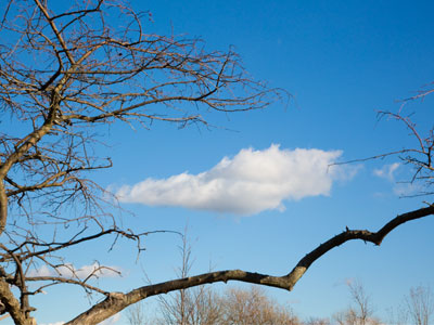 Days are not my friends now, like they are in summer.