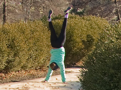 Among the paths to Eden.