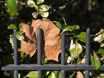 When something`s lost . . . 