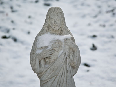 I ended up with exactly five photos today, and even that was a struggle.