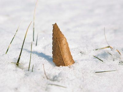 Winter.  What a dumb idea.