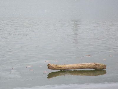 Will the ice hold me too?