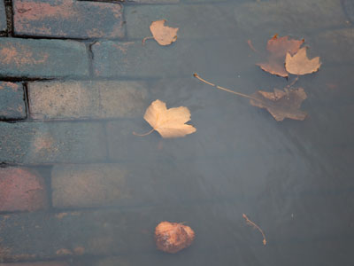 I walked outside this morning just like it was spring.