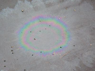 Today was cold and rainy, but I saw a rainbow.