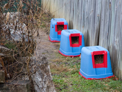 Winter lodgings (see June 13, 2015).