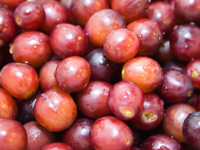 Somehow I managed to pay $8.90 for grapes.  Are we at war with the grape-producing countries of the world?