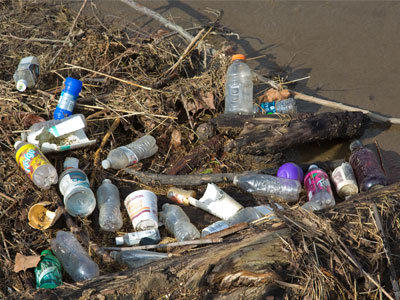 Humans.  What a bad idea.