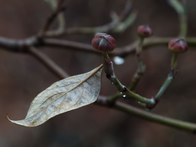 Today may not look like much, but at least it was warm.