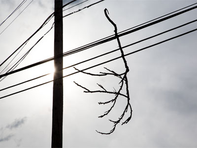 There were no trees nearby.