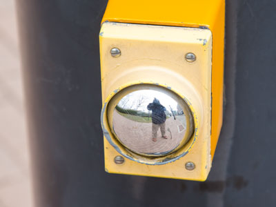 It`s just one selfie after another with me.