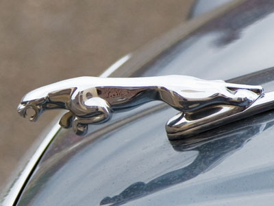 I hate it when a cat leaves footprints on my car hood.