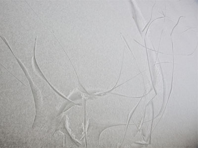 The ice is scarred from that strange game (see January 25 above).