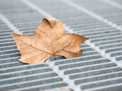 Let me be perfectly clear:  I hate winter.