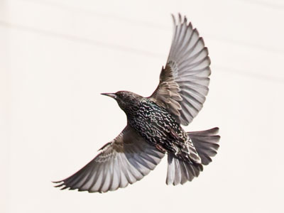 We were both seven stories up.