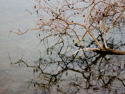 It`s been a mild winter, but I still mildly hate it.