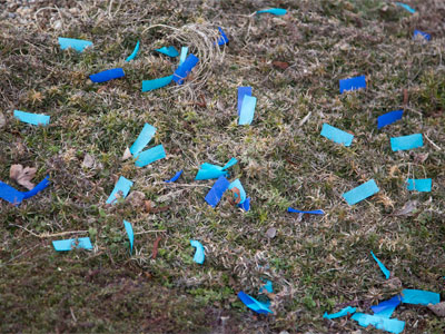 Thank you for sharing your celebration with everyone.