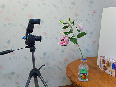 The flash is pointed at the flower.