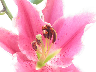 The resulting photo is just right.