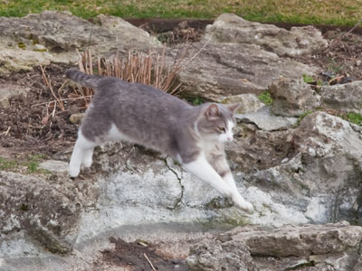 This old world is a new world, and a bold world for me . . . 