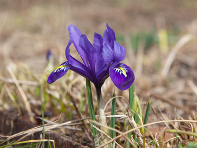 It`s a new dawn, it`s a new day, it`s a new life for me, and I`m feeling good! LESLIE BRICUSSE