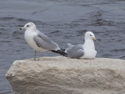 `Apologize?  Why should I?  HE should apolgize!`