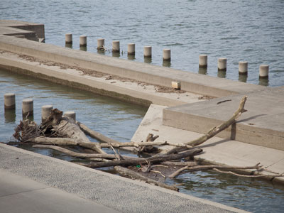 The river is nature`s trash can.