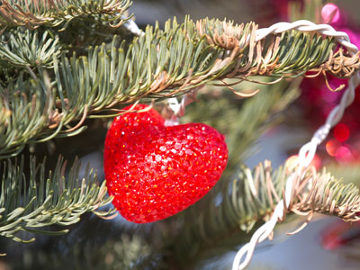 It really annoys me when my neighbors leave their Valentine trees up a long time (see February 14, 2017).