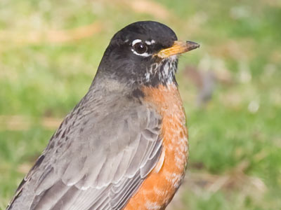 We`re both feeling betrayed by the weather.