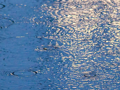 Not a lake, just the sidewalk.