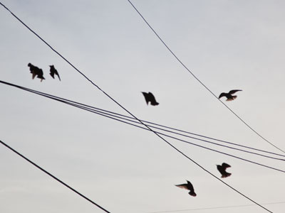 It was 4pm before I convinced myself to go outside.