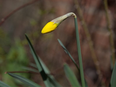 It`s probably best not to come out just yet.